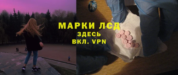 ПСИЛОЦИБИНОВЫЕ ГРИБЫ Осинники